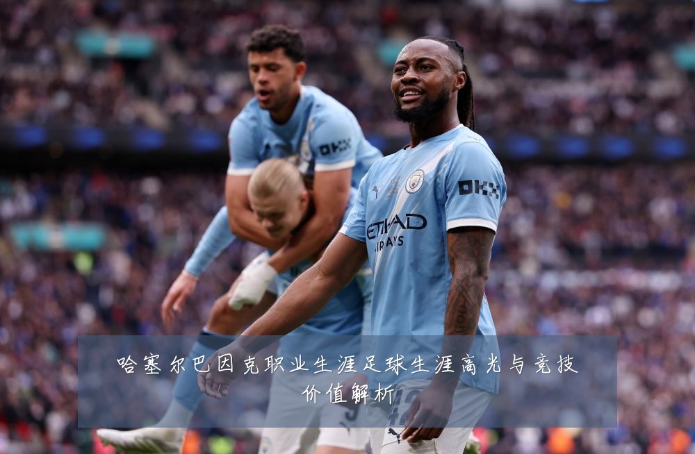 哈塞尔巴因克职业生涯足球生涯高光与竞技价值解析